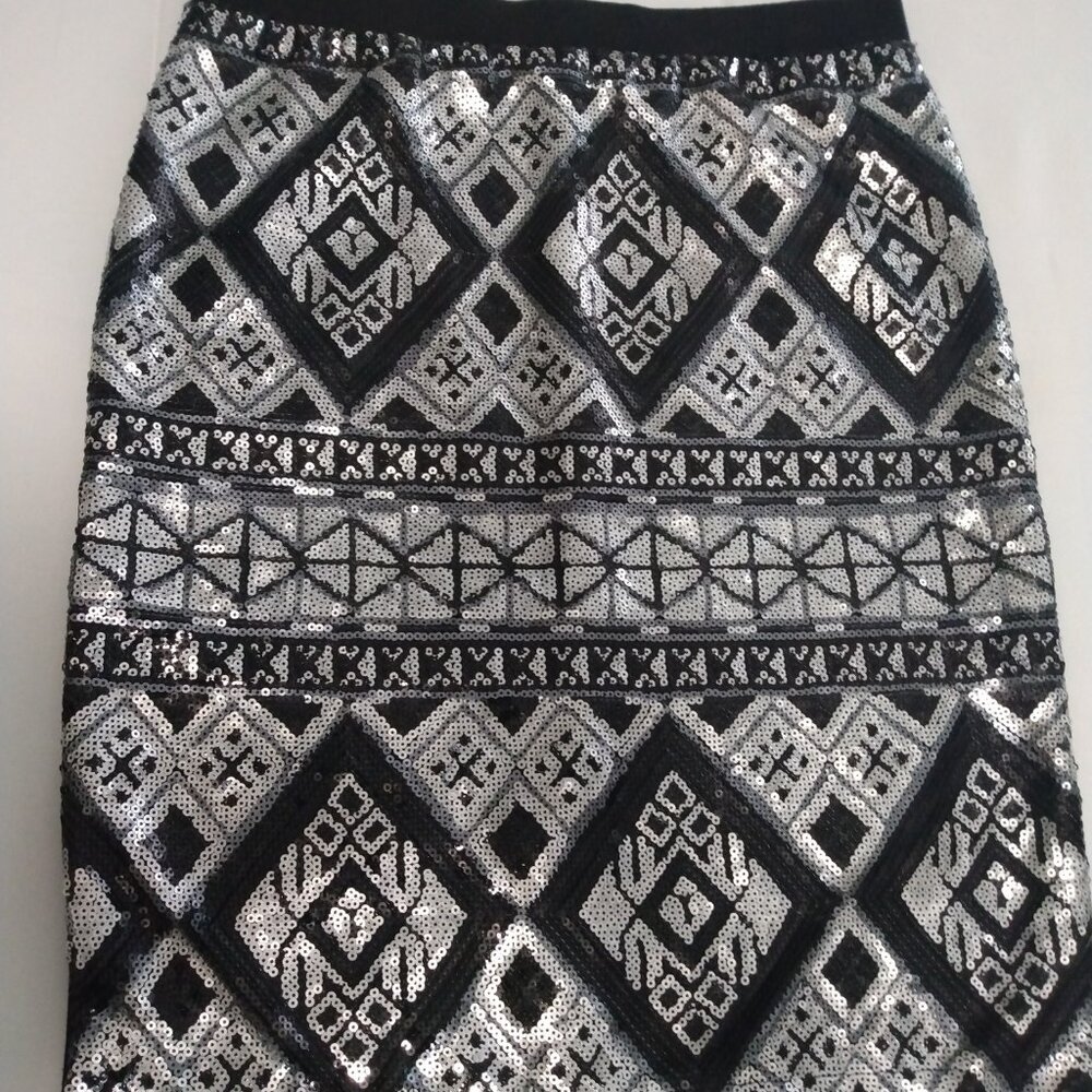 Shine with me skirt